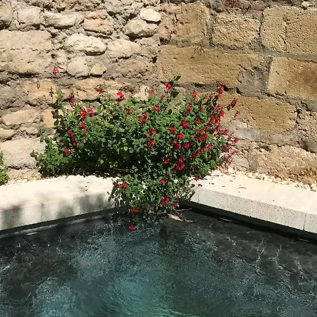 N15 - Les Confidences - D'hotes Penzion Avignon